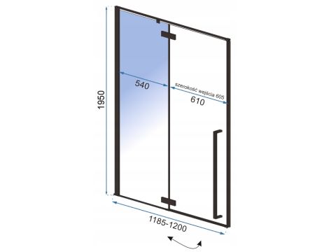 Drzwi Prysznicowe EasyClean Czarne FARGO 120 REA - 5